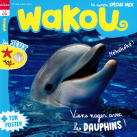 WAKOU