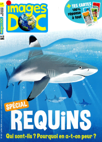 IMAGES DOC